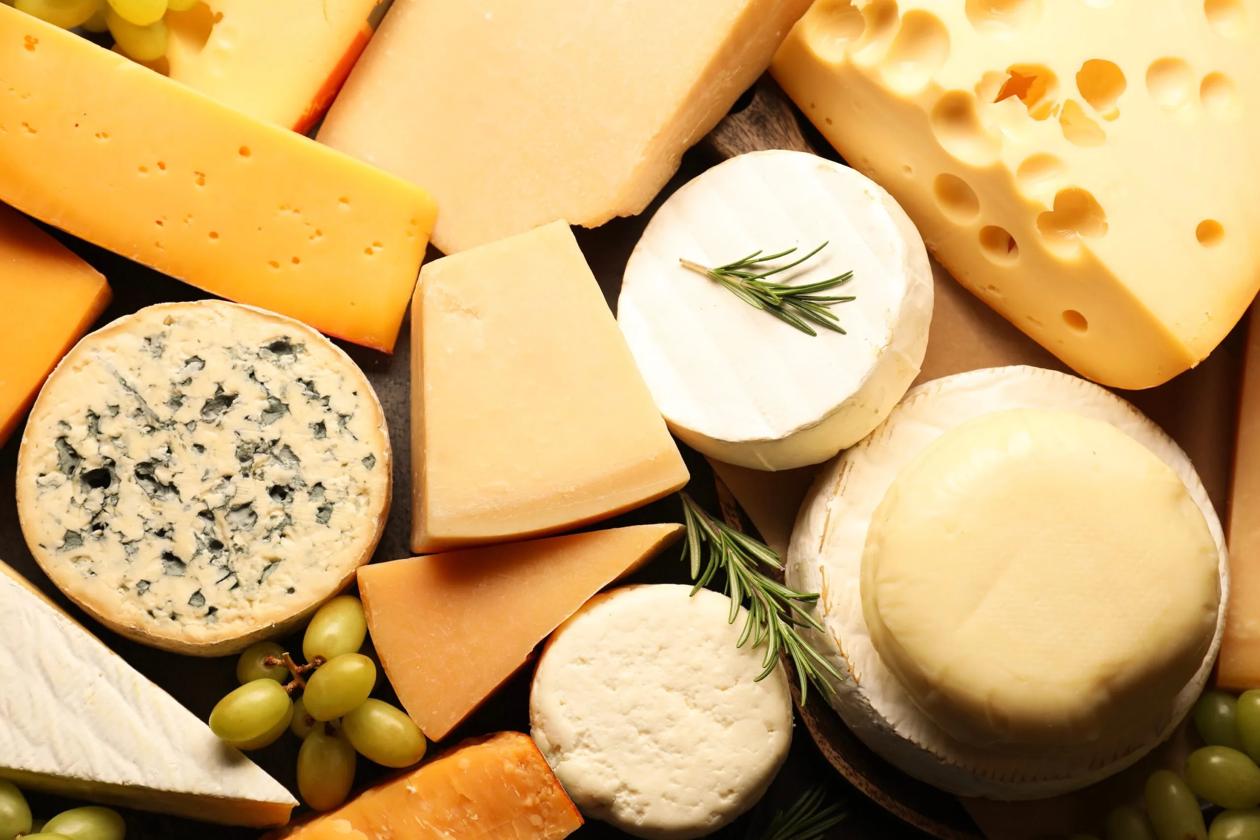 What is the highest-protein cheese? Your favorite cheeses, ranked